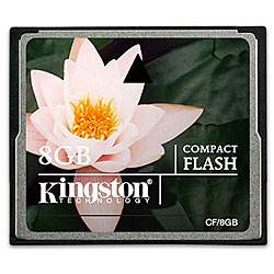 8GB CF Card
