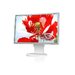 60002479 NEC MultiSync® EA261WM 22