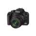 EOS 1000D & EF-S 18-55mm & Selphy CP530