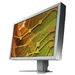 S2402W-GY Eizo FlexScan S2402W